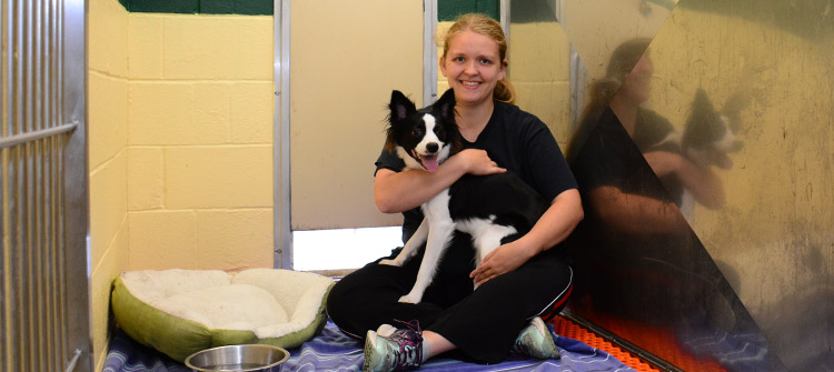 Pet boarding at Flossmoor Animal Hospital